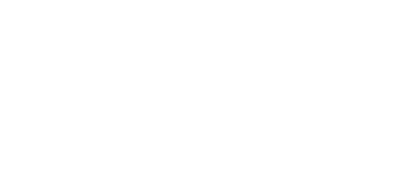 Ducote Consulting